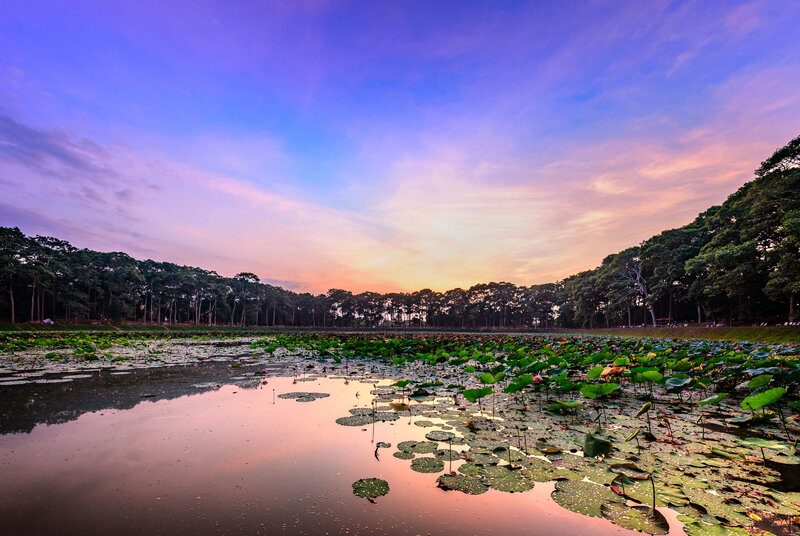Capture the authentic charm of Vinh Long’s eco-tourism
